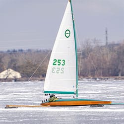 treasurer